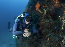 Diving scuba courses