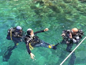 Diving scuba courses