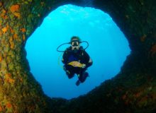 Diving scuba courses