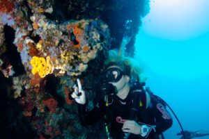 Search and Recovery Diver