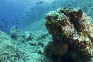 Diving scuba courses in croatia