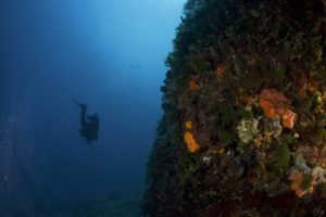 Deep Diver Speciality Course