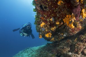Diving Center Croatia