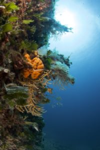 Diving Center Croatia